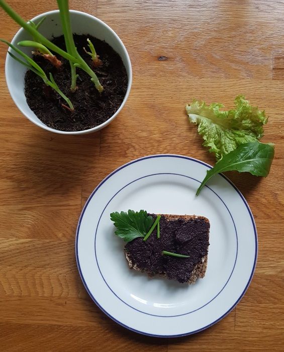 schwarze-oliventapenade-dekoriert